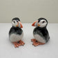 The Atlantic Pair