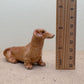 Brown Wiener Dachshund