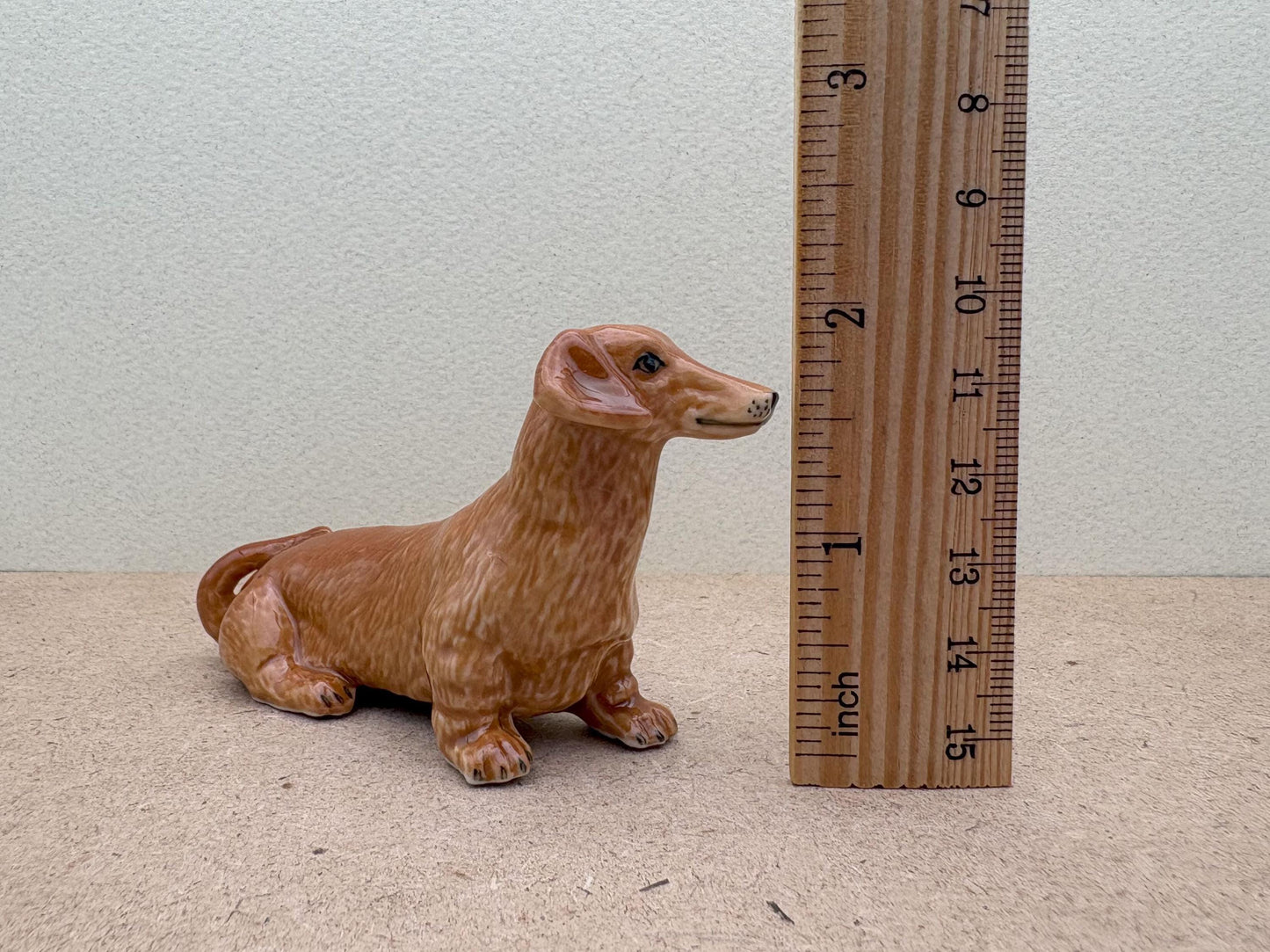 Brown Wiener Dachshund