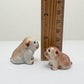 3 Bulldog Puppies
