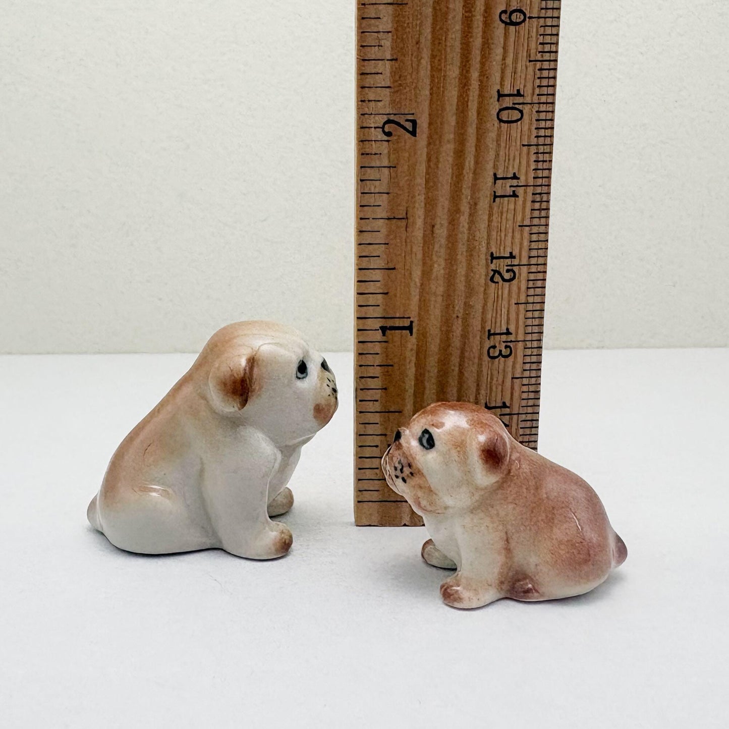 3 Bulldog Puppies