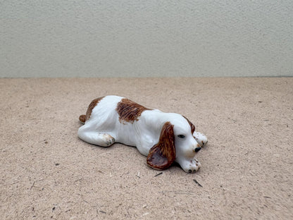 Sleeping Cocker Spaniel