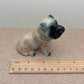 2 Shar Pei