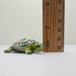 Red-Eared Slider Turtle