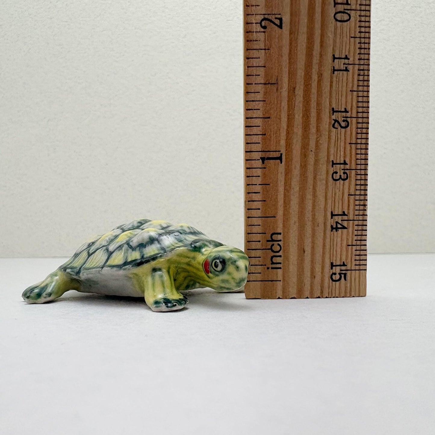 Red-Eared Slider Turtle