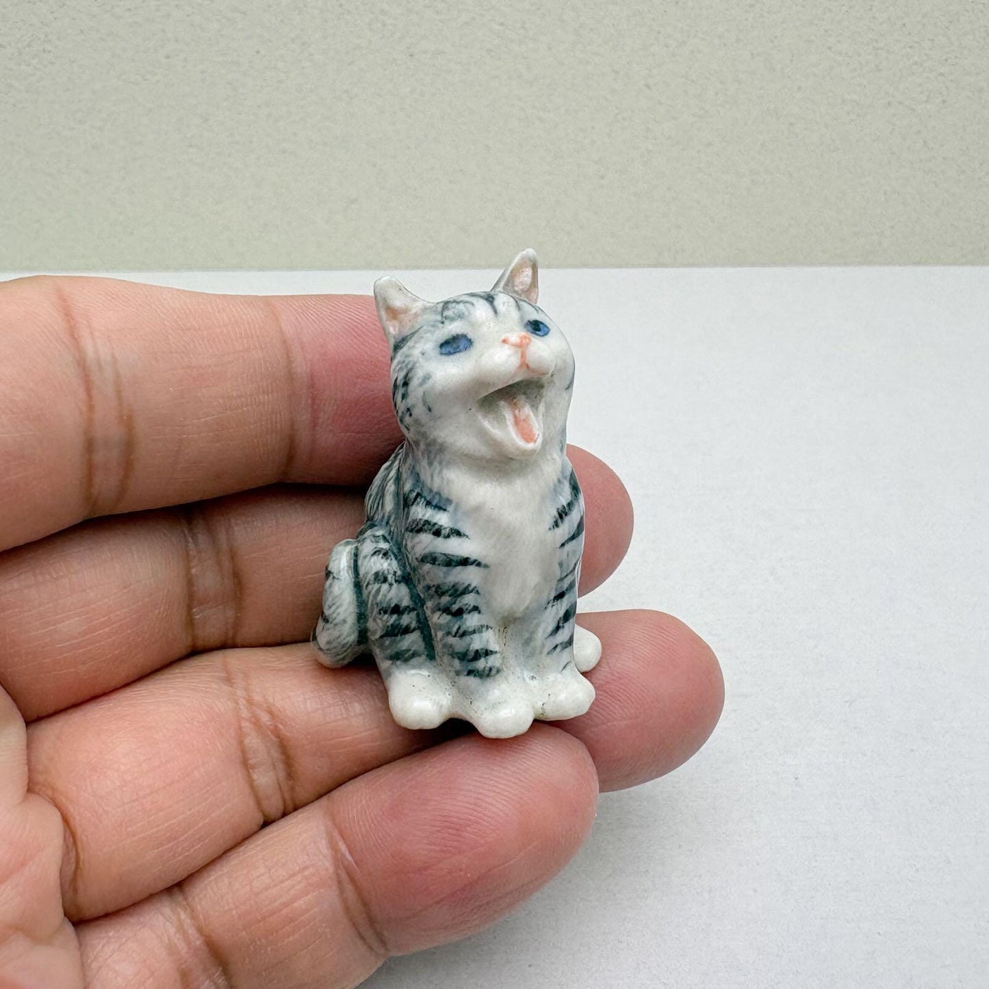 singing Tabby Cat