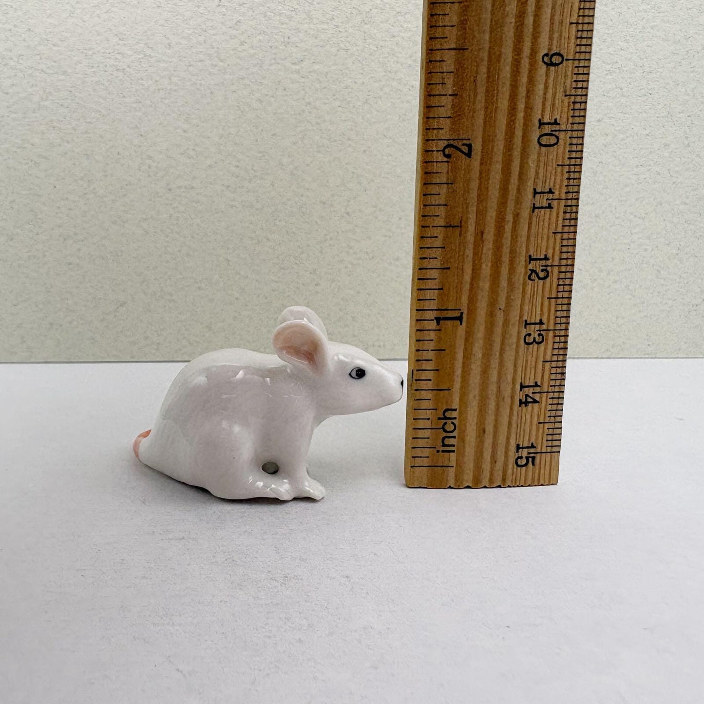 Tiny White Mouse