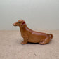 Brown Wiener Dachshund