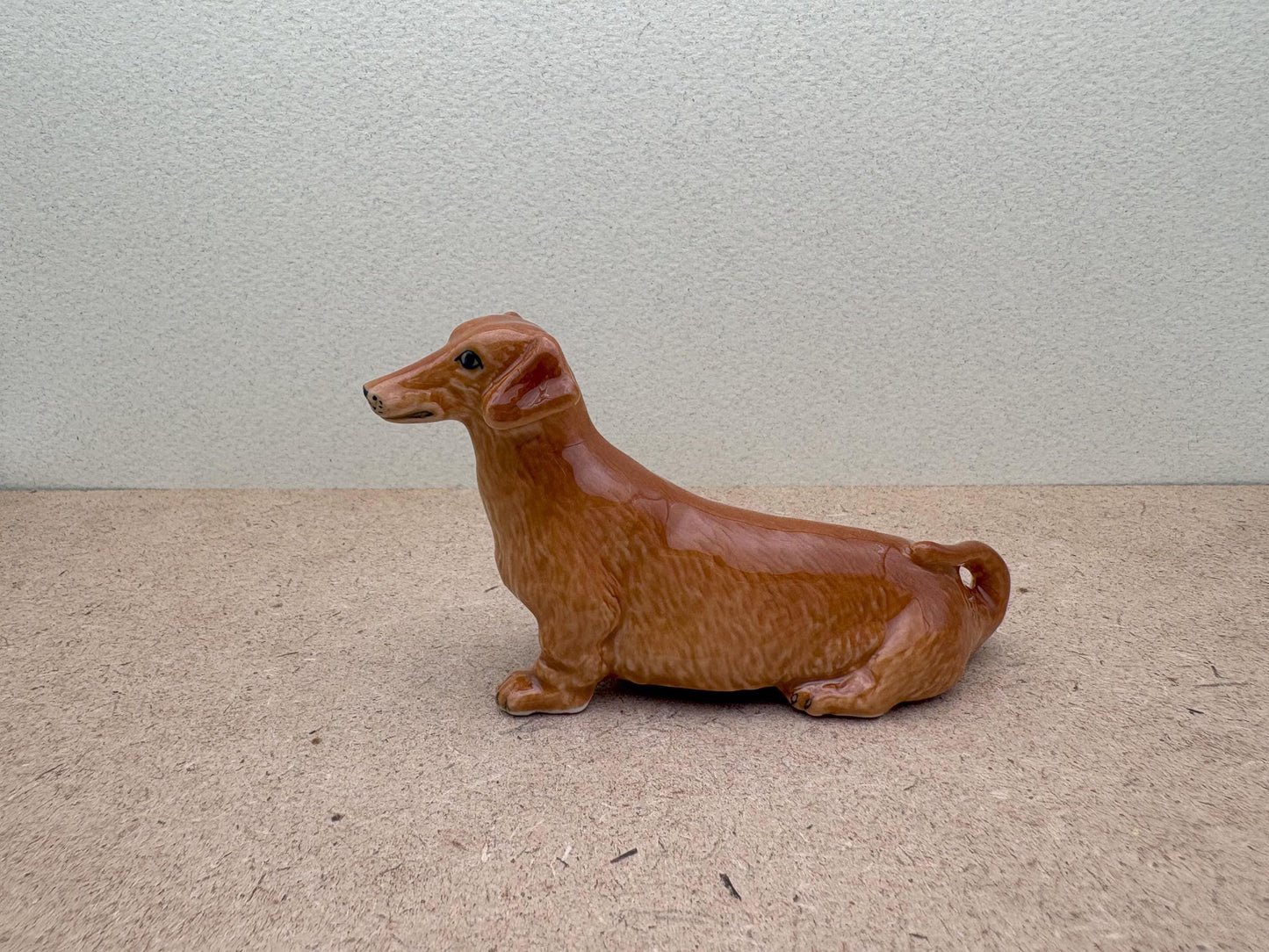 Brown Wiener Dachshund