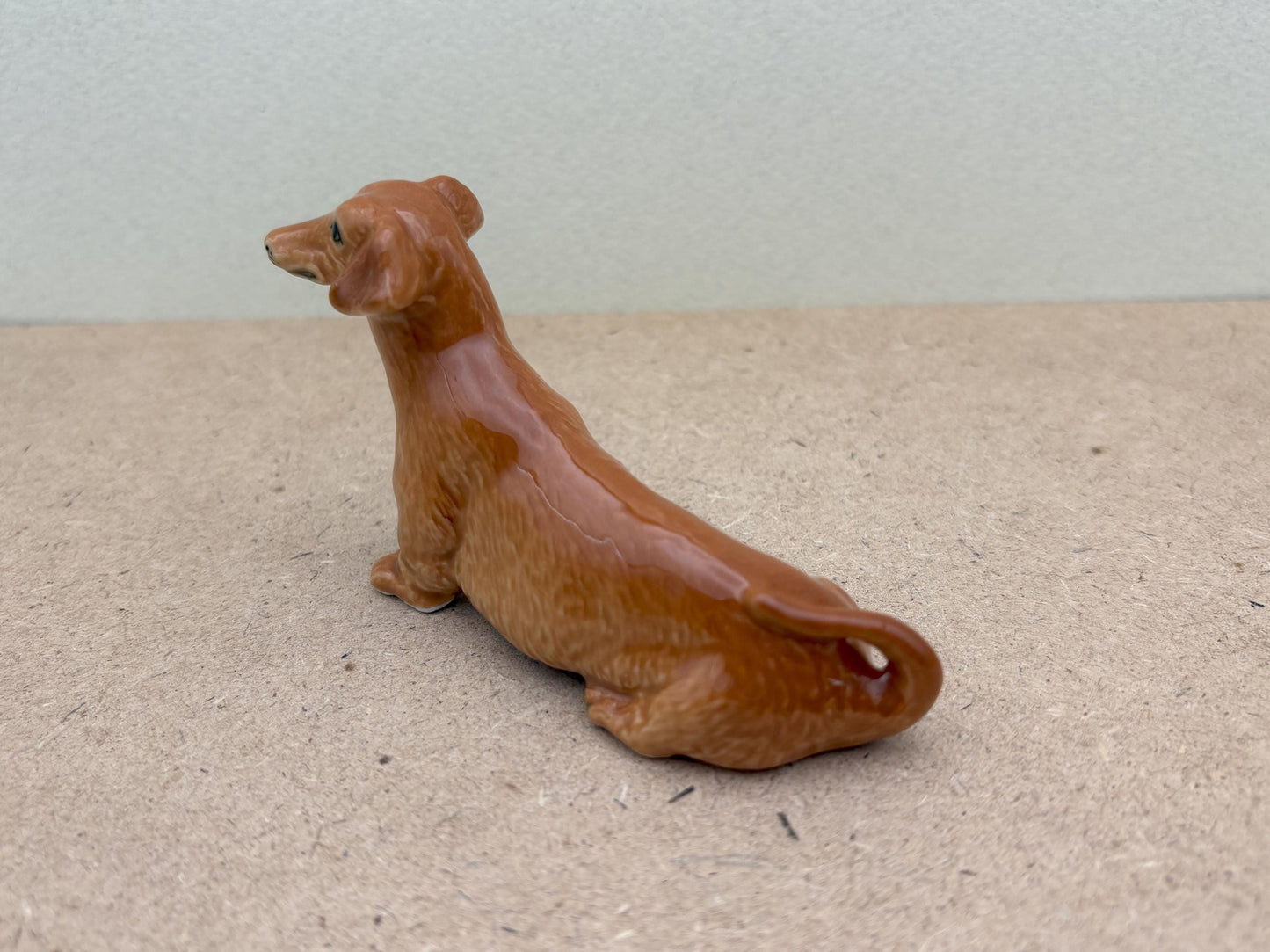 Brown Wiener Dachshund