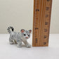 White Tiger Cub