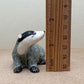 2 Badgers
