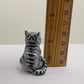 singing Tabby Cat