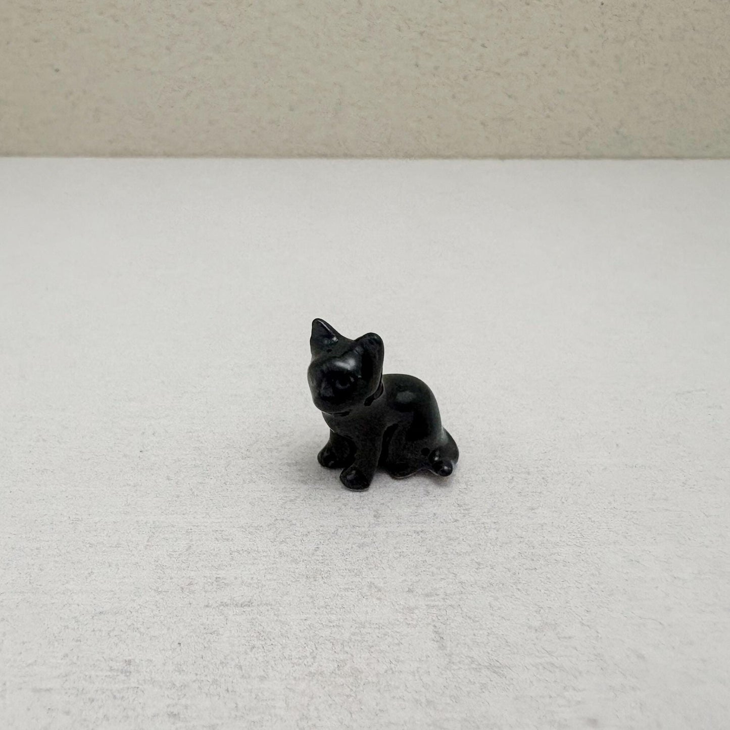 The Shadow Kitten