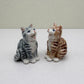 singing Tabby Cat