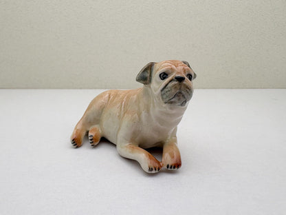 Classic Fawn Pugs
