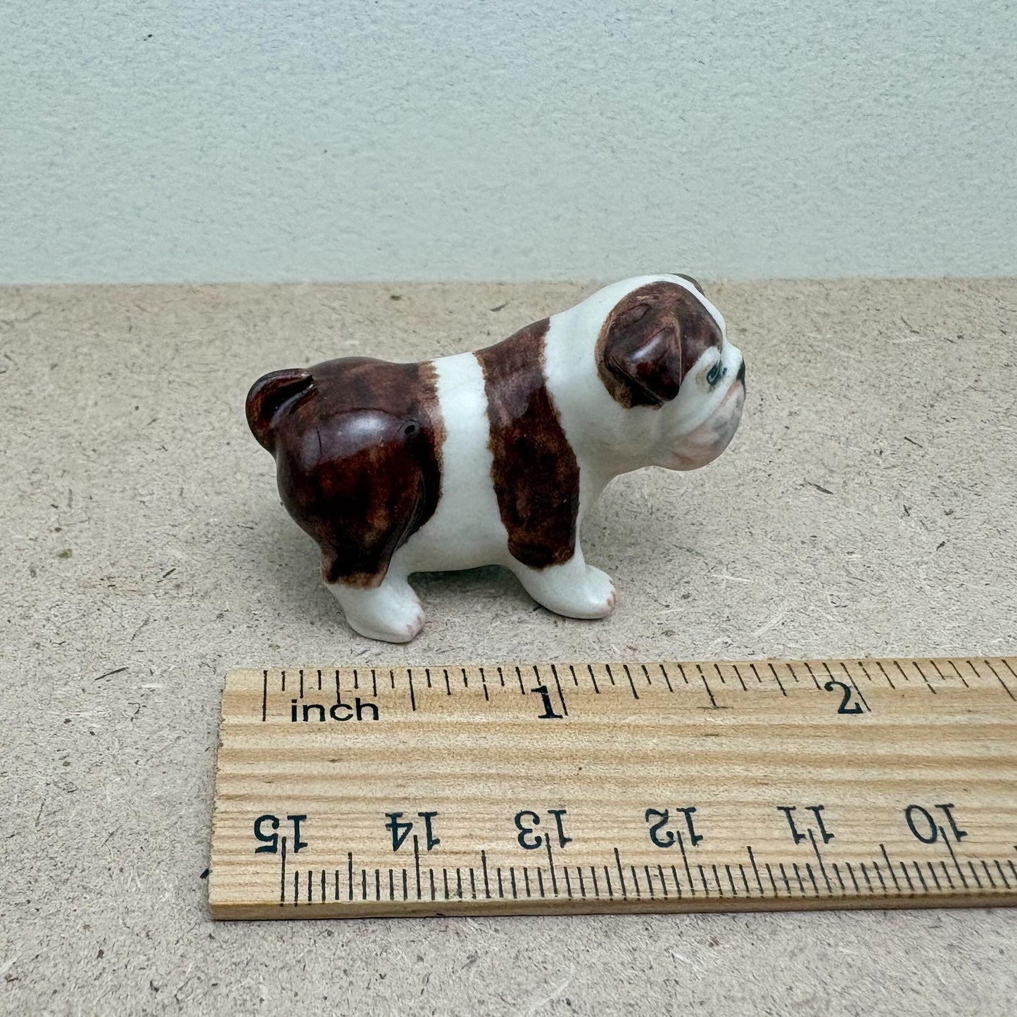 Bulldogs, Sitting and Standing Poses
