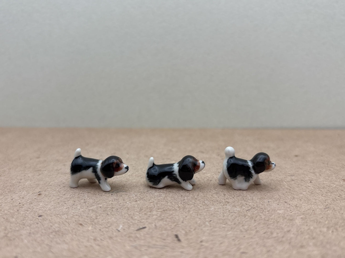 Tiny Miniature Dogs