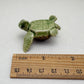 Green Turtle
