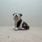 Bulldogs, Sitting and Standing Poses