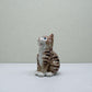 singing Tabby Cat
