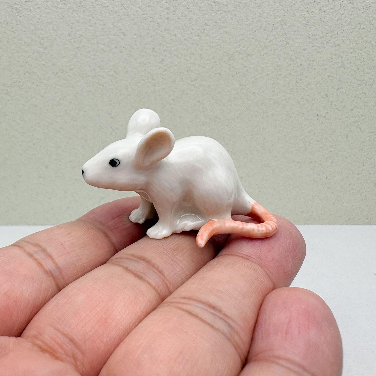 Tiny White Mouse