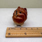 Reddish-Brown Pomeranian set