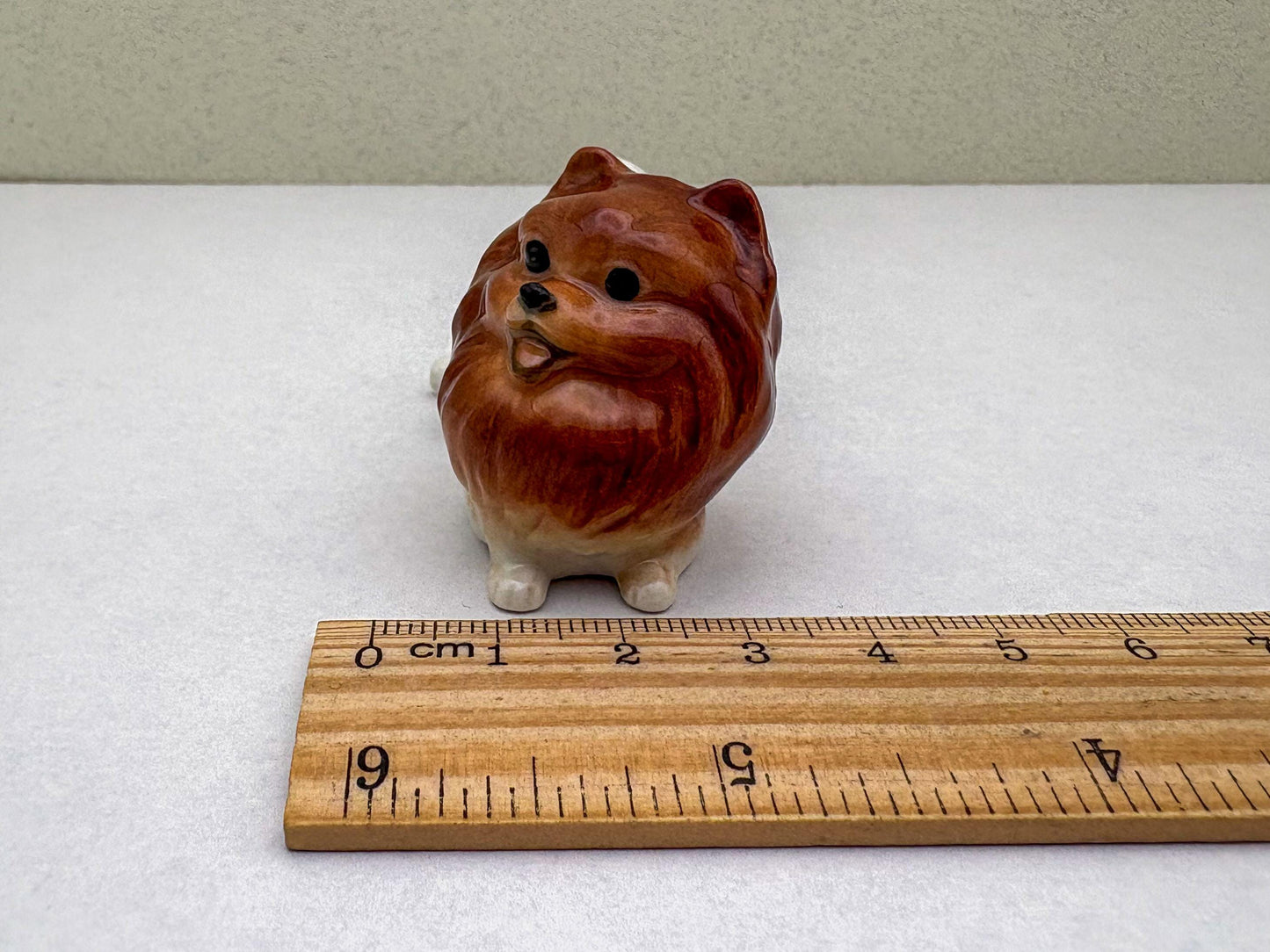 Reddish-Brown Pomeranian set