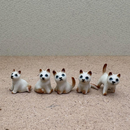 Mini Cat Set