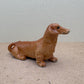 Brown Wiener Dachshund