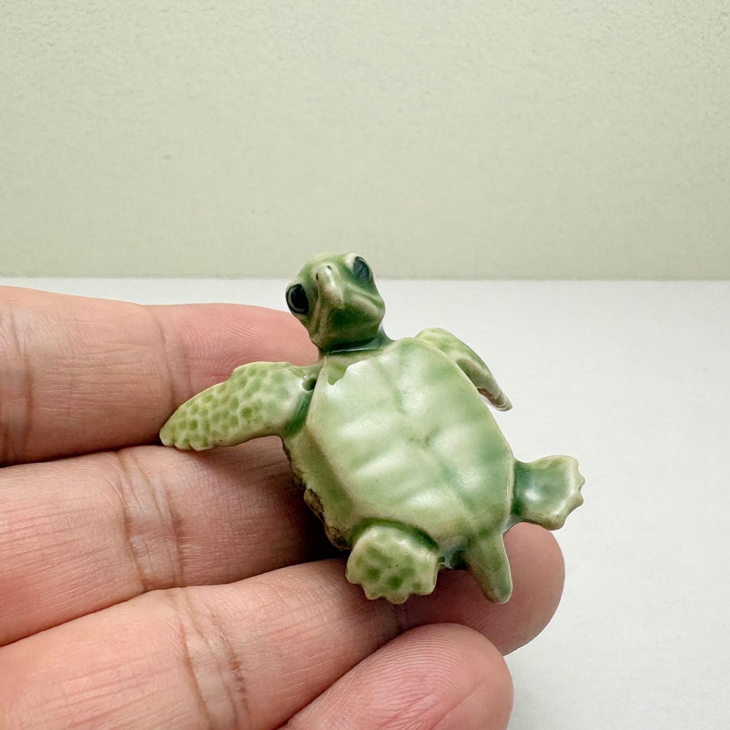 Green Turtle