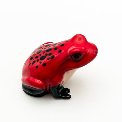 Frog #1