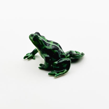 Frog with Black Dots Pattern