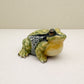 Green Golden Bell Frog