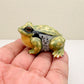 Green Golden Bell Frog