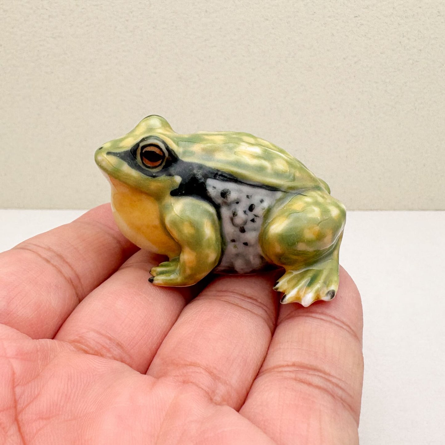Green Golden Bell Frog