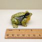 Green Golden Bell Frog