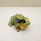 Green Golden Bell Frog