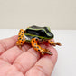 Rio Madeira Poison Dart Frog