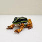 Rio Madeira Poison Dart Frog
