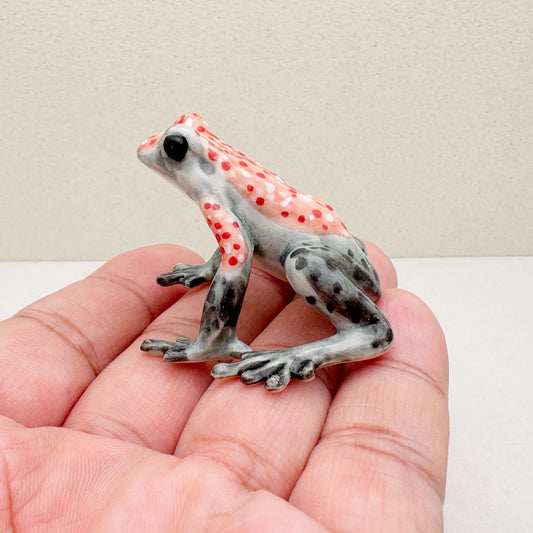 Granular Poison Frog