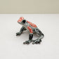Granular Poison Frog