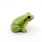 Frog #1