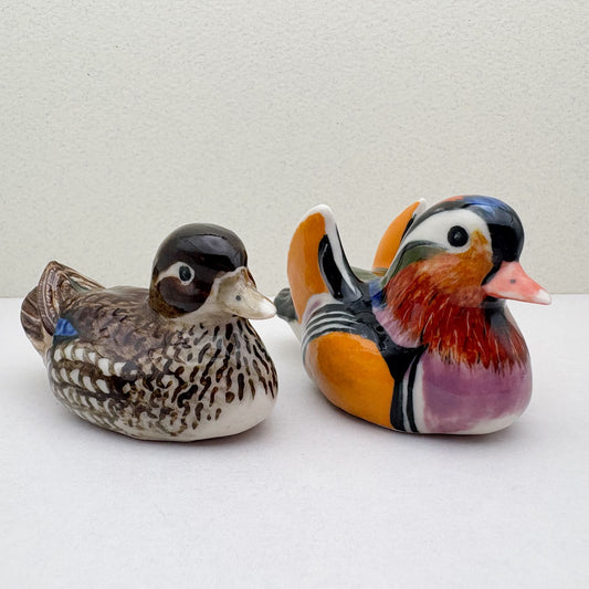 Mandarin Duck Couple