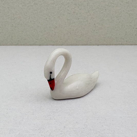 Graceful Swan