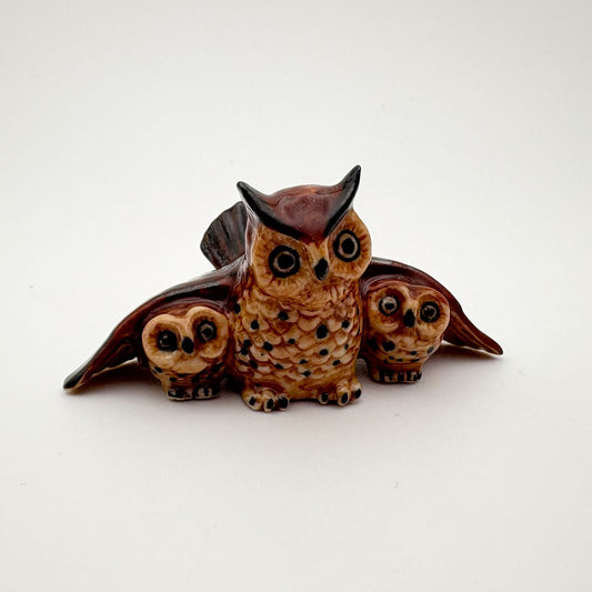 Wise Owl Family