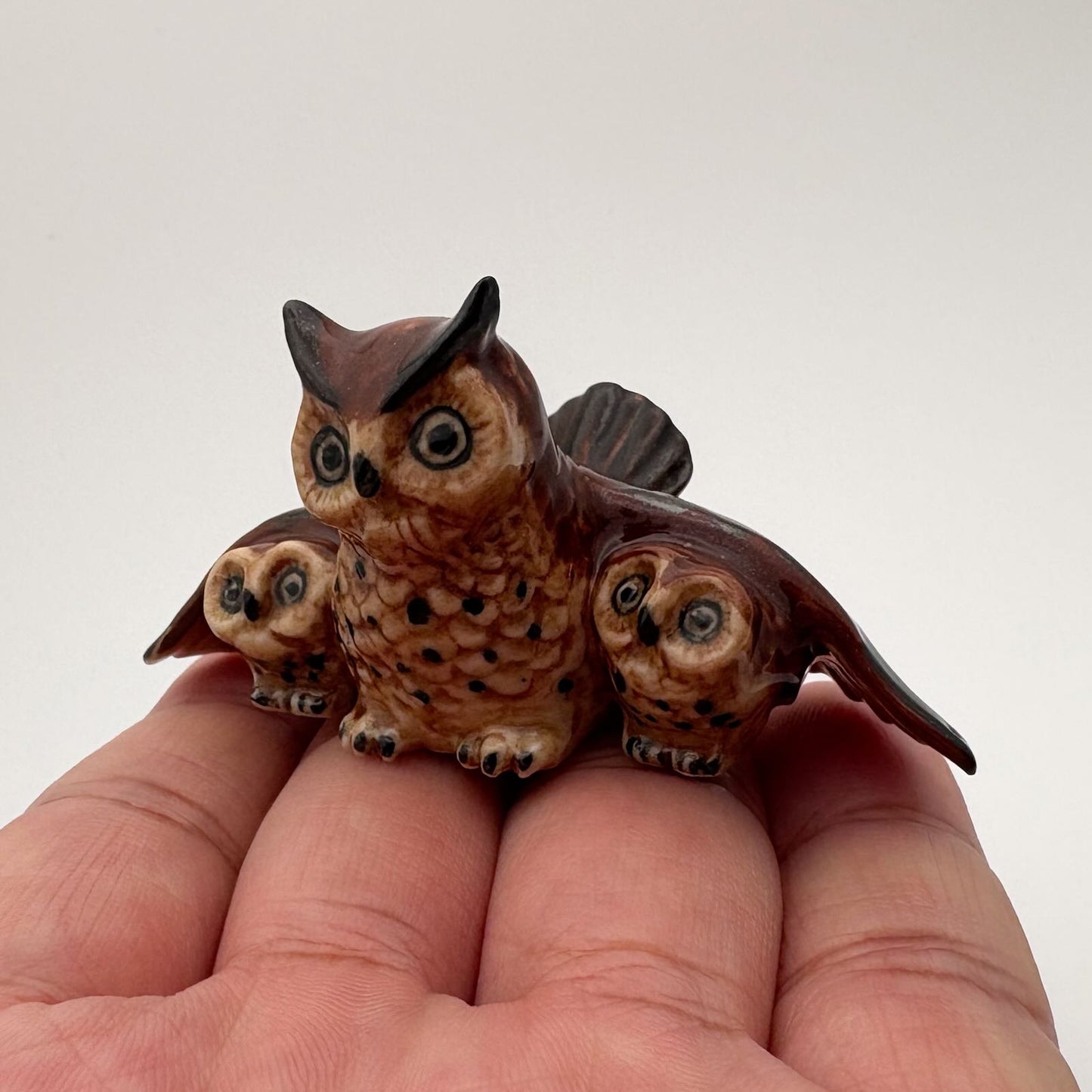 Wise Owl Family