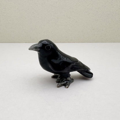 Mystic Raven & Crow