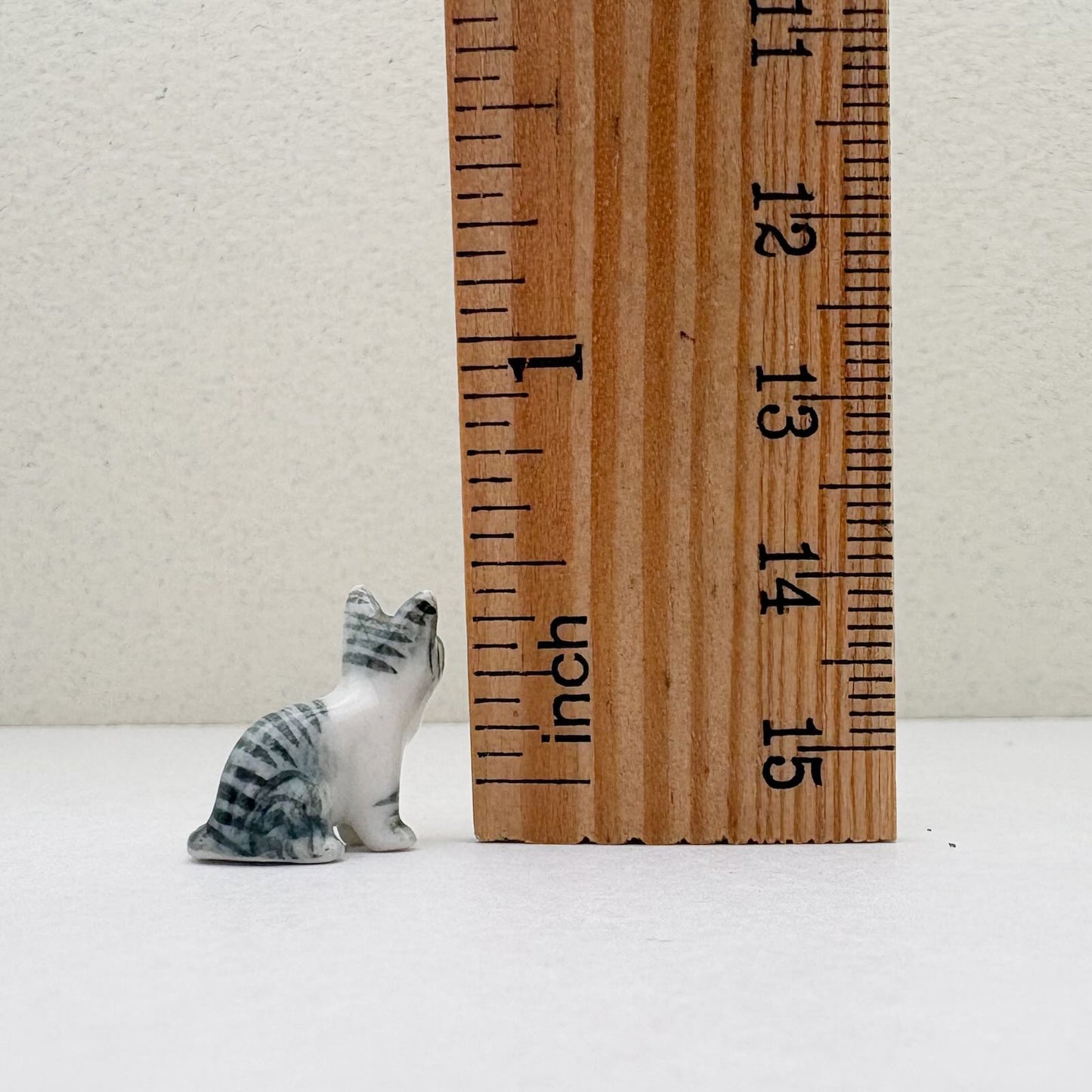 Tiny Grey Tabby Cat