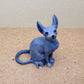 Blue Sphynx Cat